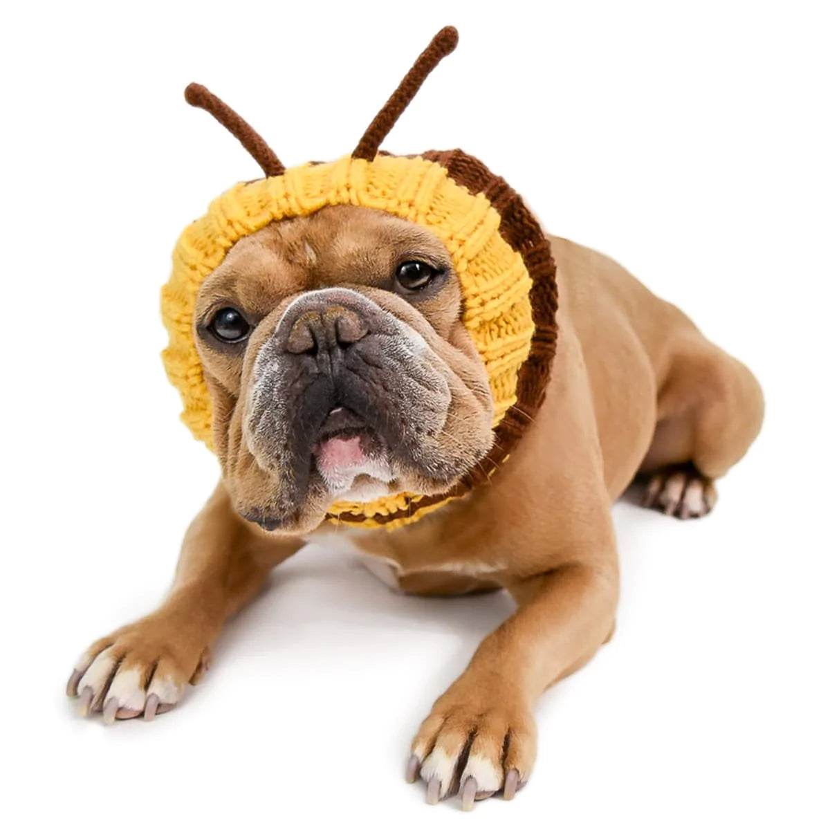 Bumble Bee Zoo Snood