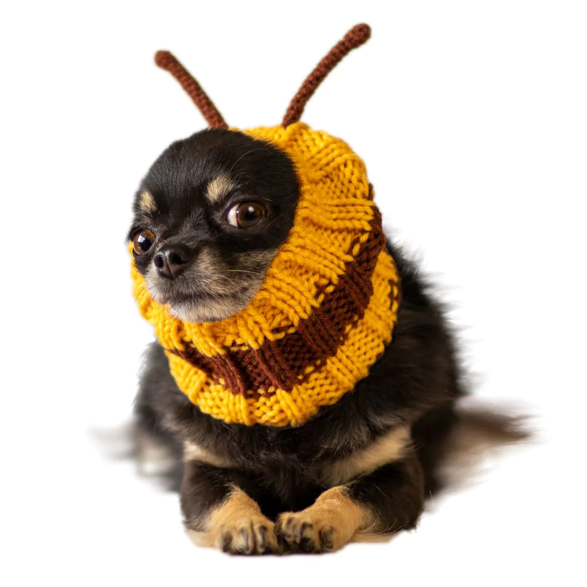 Bumble Bee Zoo Snood