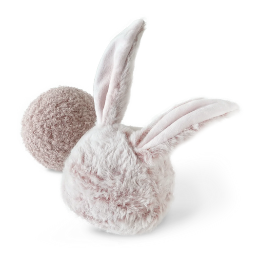 Bunny Pop Squeaky + Bouncy Dog Toy