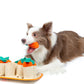 Carrot Patch Snuffle Toy