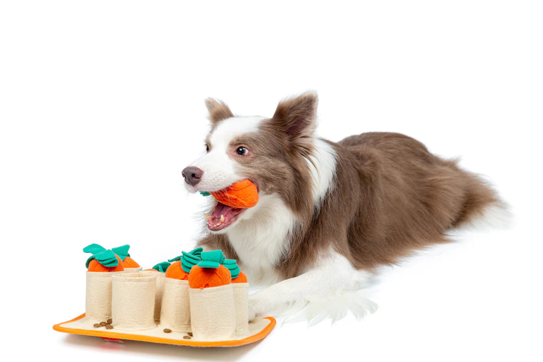 Carrot Patch Snuffle Toy