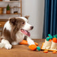 Carrot Patch Snuffle Toy