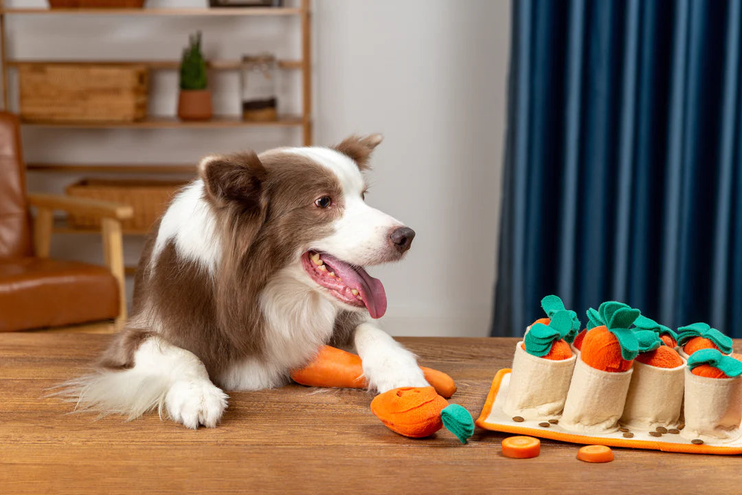 Carrot Patch Snuffle Toy