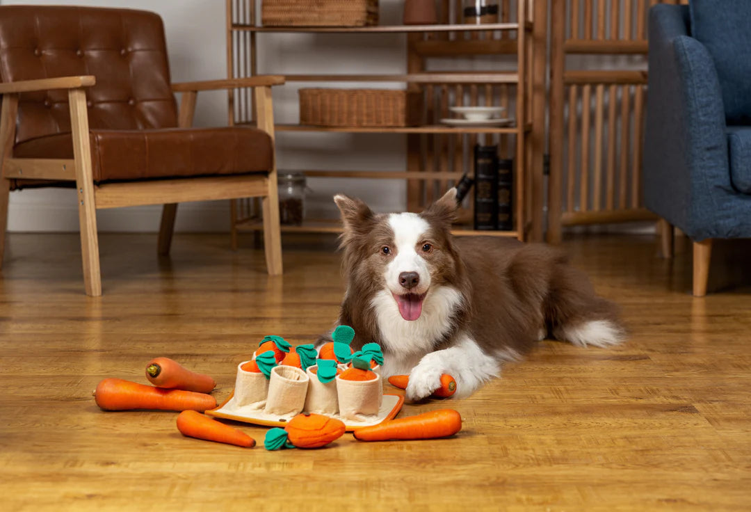 Carrot Snuffle Toy