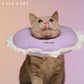 A cat wearing a donut shaped post-surgery recovery collar with ruffles