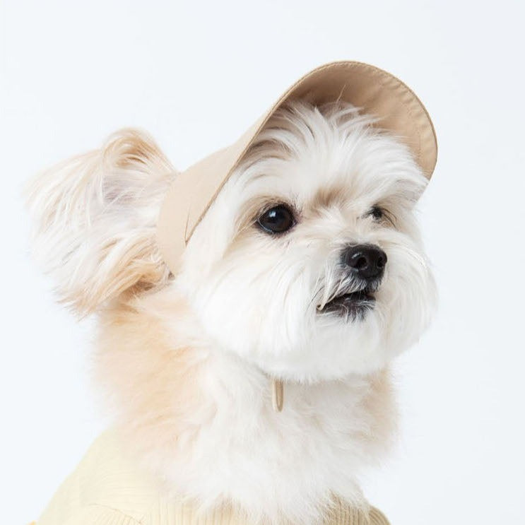 A dog model in a ruffle short sleeve T-shirt with a beige sun visor.