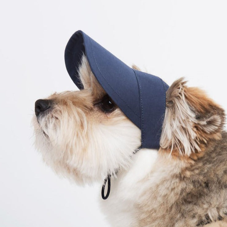 A dog model with a navy sun visor.