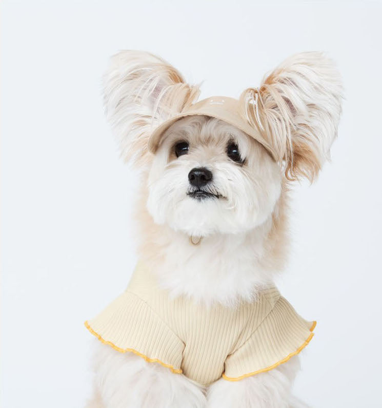 A dog model in a ruffle short sleeve T-shirt with a beige sun visor.