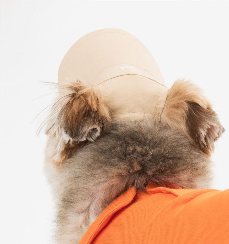 A dog model with a beige sun visor.