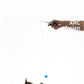 Galaxy Teaser Cat Toy
