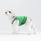 Neon Striped Cami Top Dog & Cat