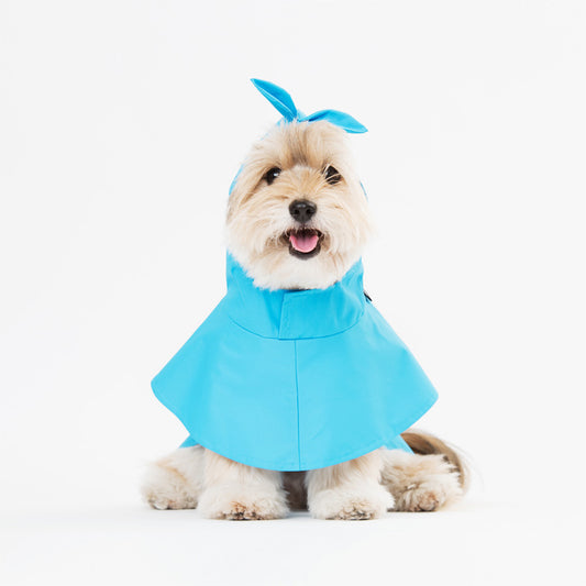 Blue Cape Raincoat w/ Bow Dog