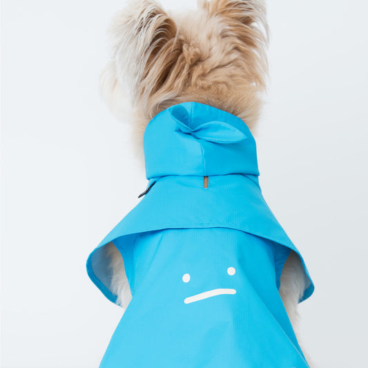 Blue Cape Raincoat w/ Bow Dog