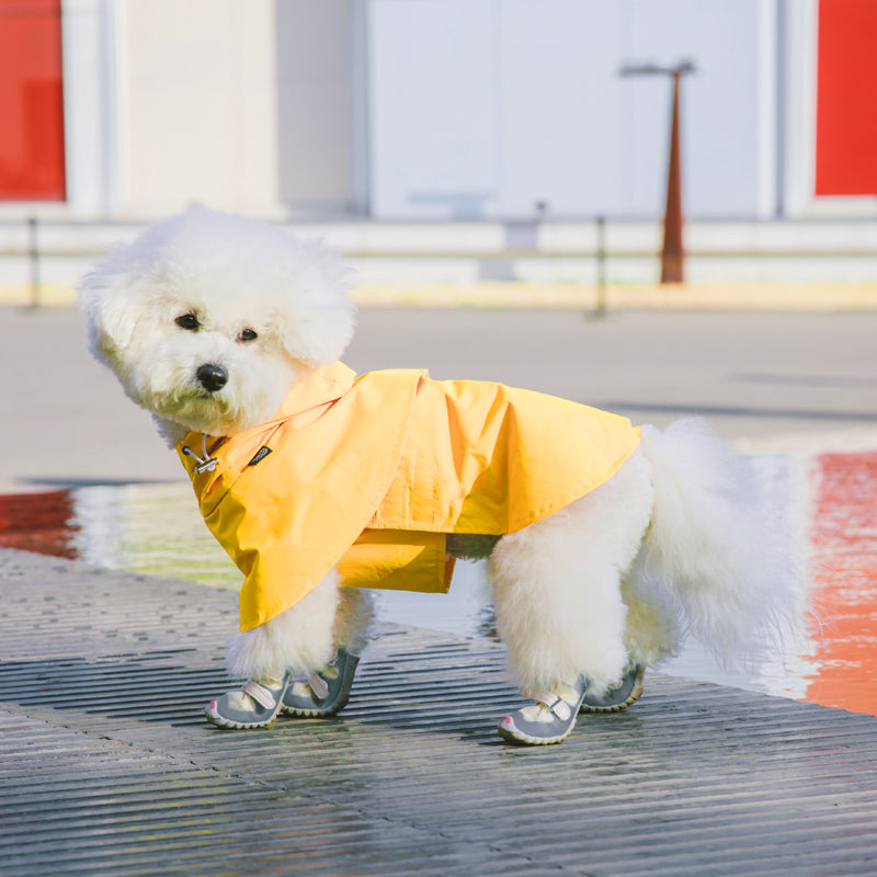 Yellow Cape Raincoat Dog