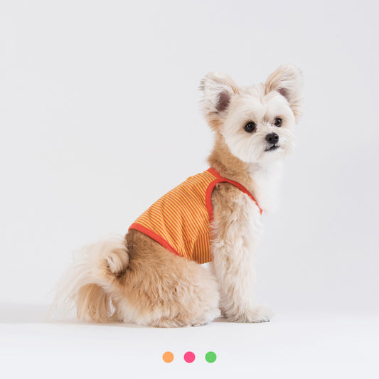 Neon Striped Cami Top Dog & Cat