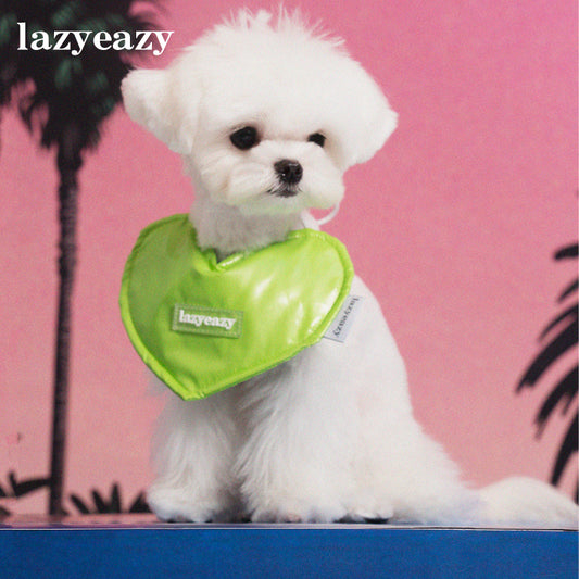 White maltese wearing a green heart-shaped waterproof bandana.