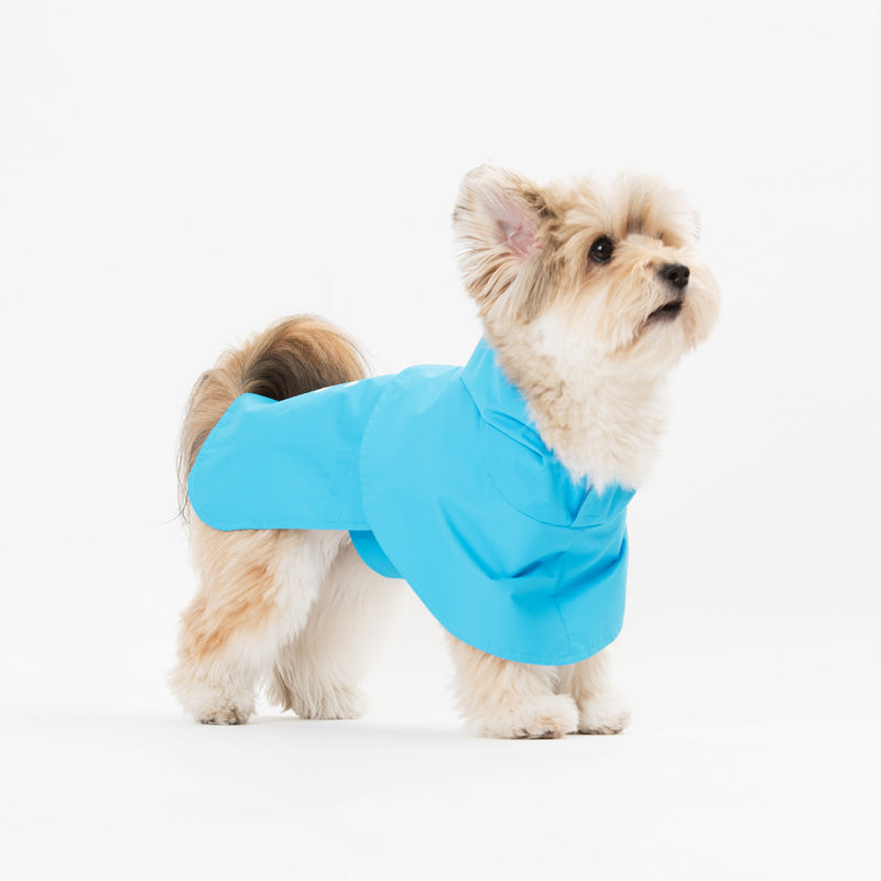 Blue Cape Raincoat w/ Bow Dog