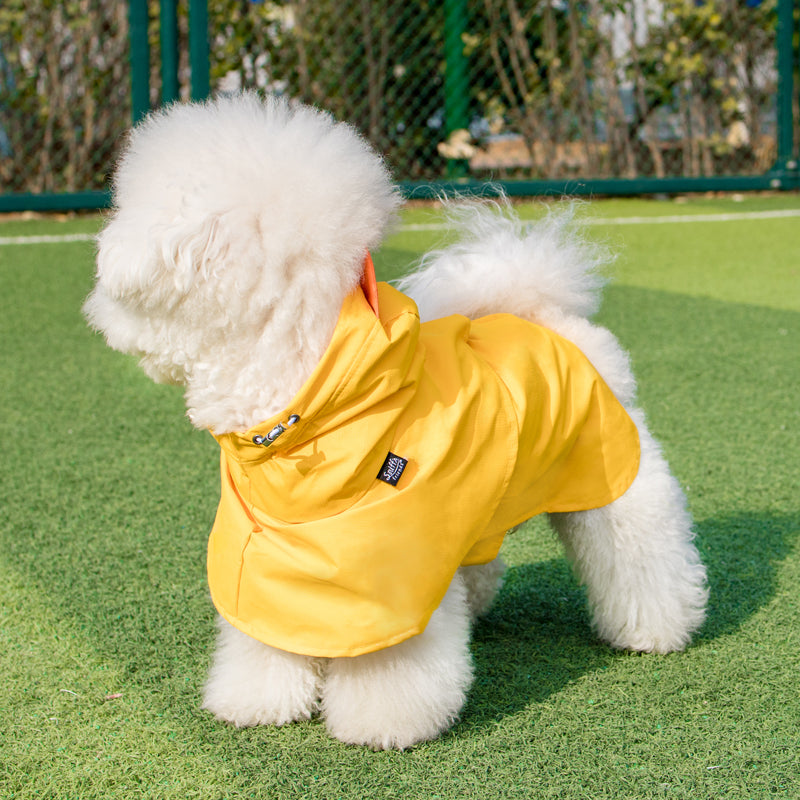 Yellow Cape Raincoat Dog