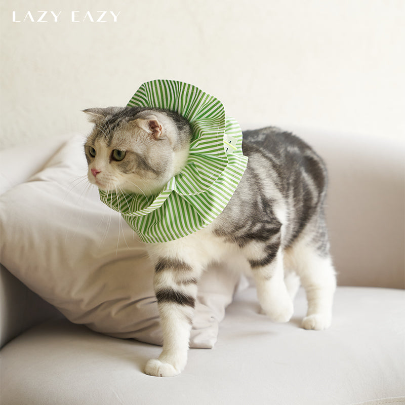 A domestic shorthair cat wearing a green striped protective elizabethan collar.