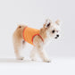 Neon Striped Cami Top Dog & Cat