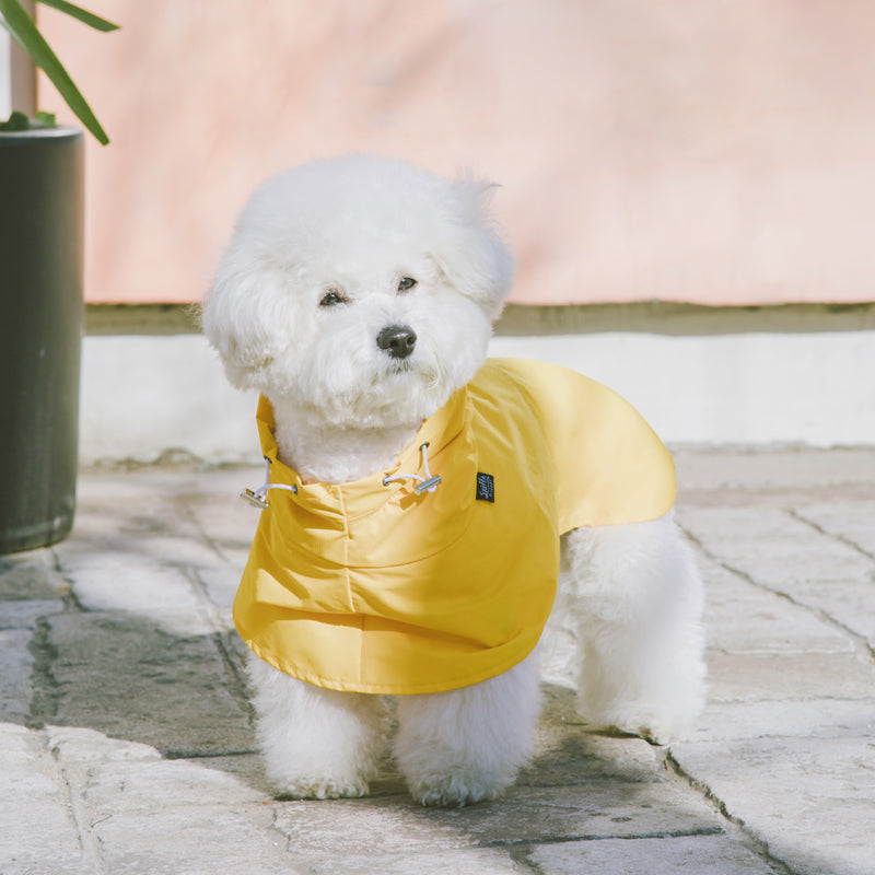 Yellow Cape Raincoat Dog