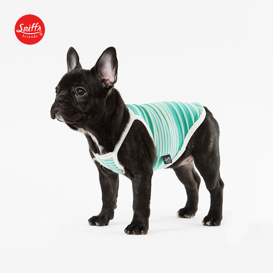 Mint Striped Cami Top Dog