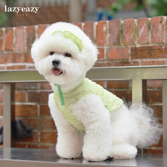 A white Bichon dog in a green summer suit with matching headband sitting on a bench in a park