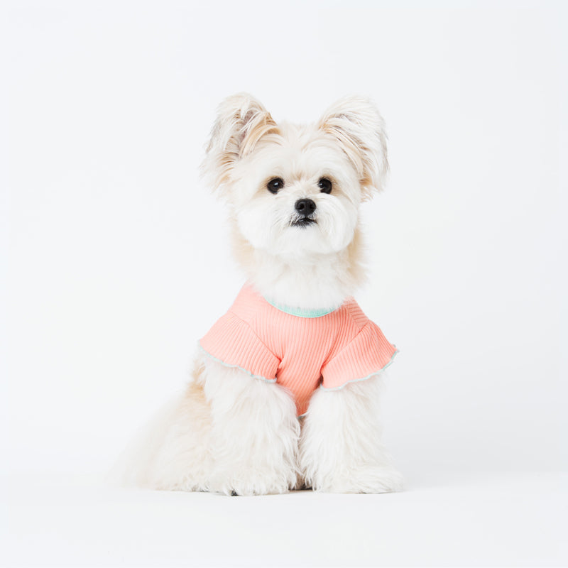 Ribbon Tie Ruffle Sleeve Crop Top Dog & Cat