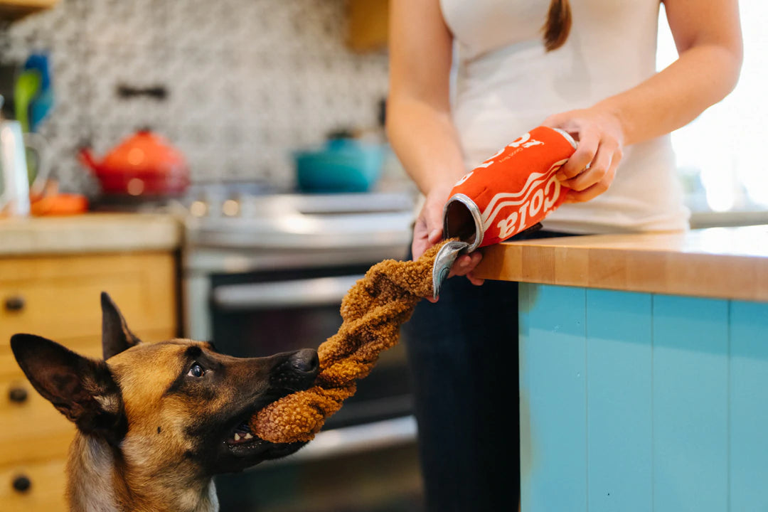 Good Boy Cola - Snack Attack Collection