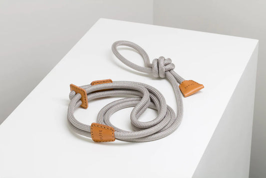 All-in-one minimalism designer dog harness by Boo Oh in grey