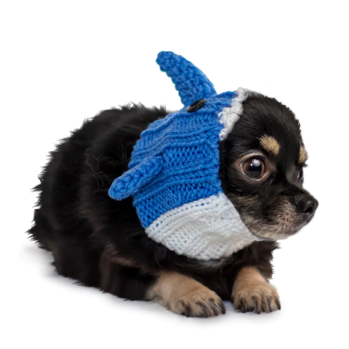 Baby Shark Zoo Snood