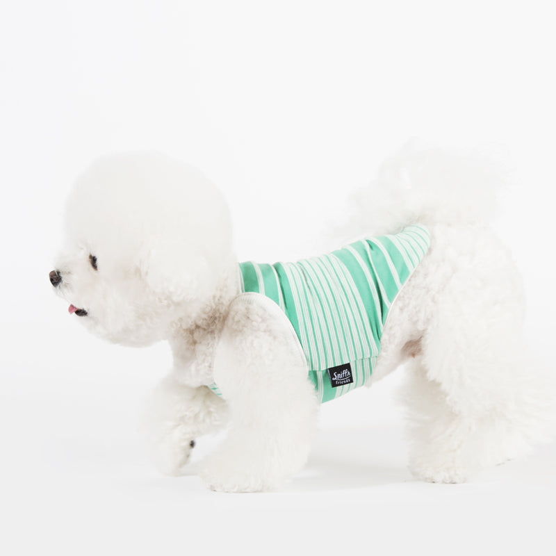 Mint Striped Cami Top Dog