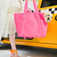 Everyday Pet Carrier