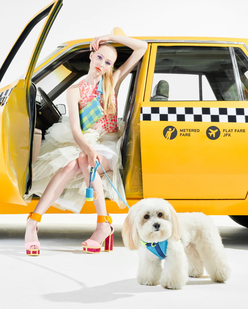 Harness - Hudson Blue