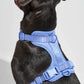 Harness - Moonstone