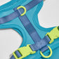 Harness - Hudson Blue