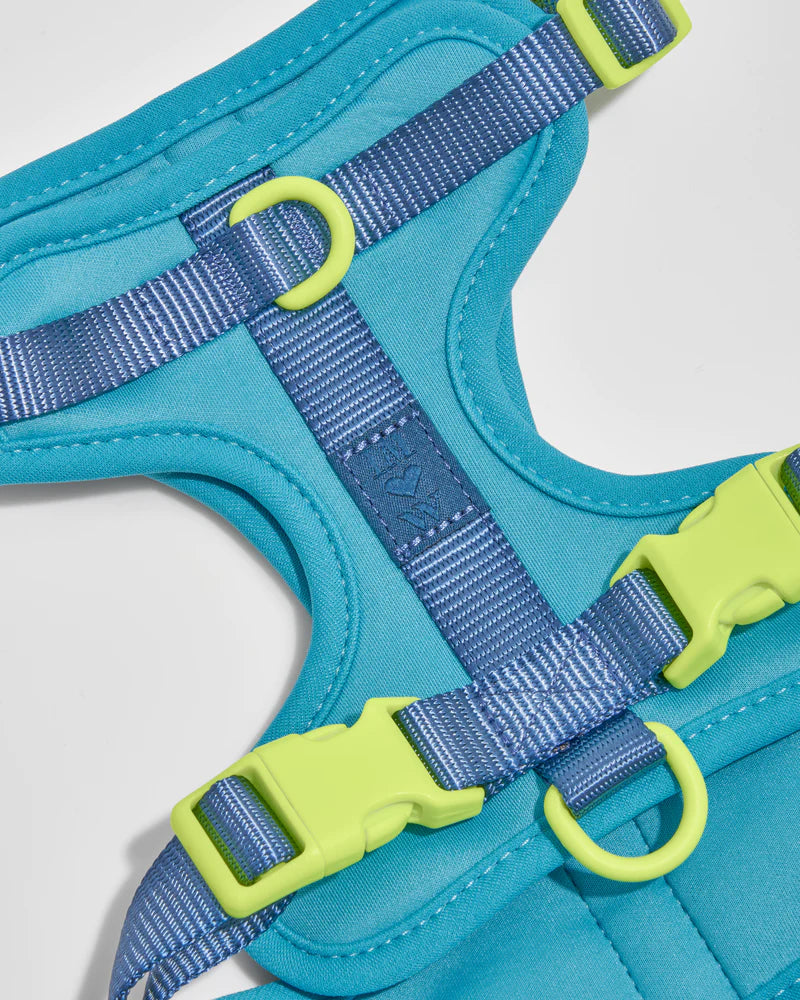 Harness - Hudson Blue