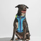 Harness - Hudson Blue