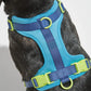 Harness - Hudson Blue