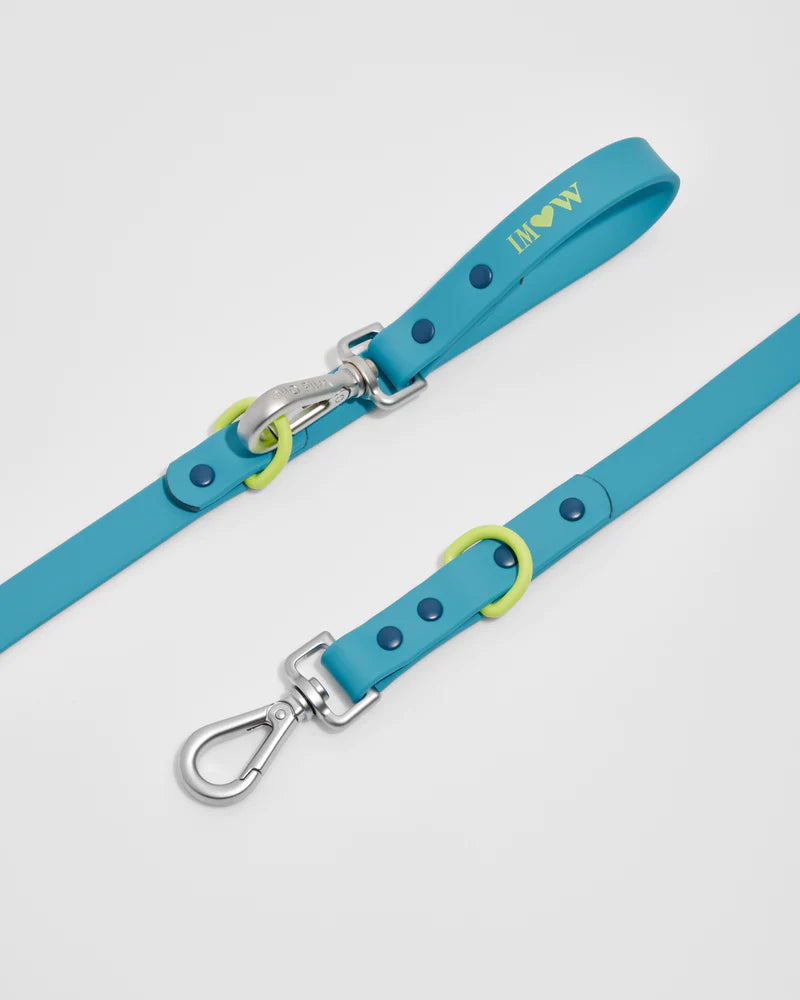 Leash - Hudson Blue