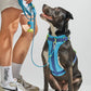 Harness - Hudson Blue