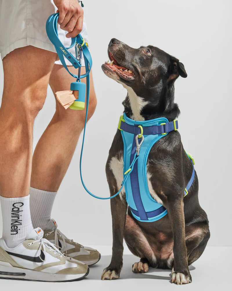 Harness - Hudson Blue