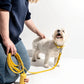 Leash - Butter