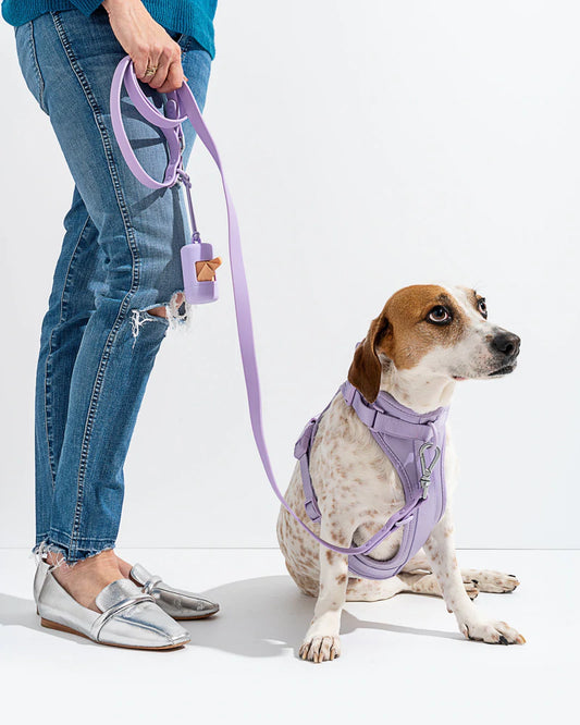 Harness Walk Kit - Lilac