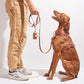 Harness - Cocoa