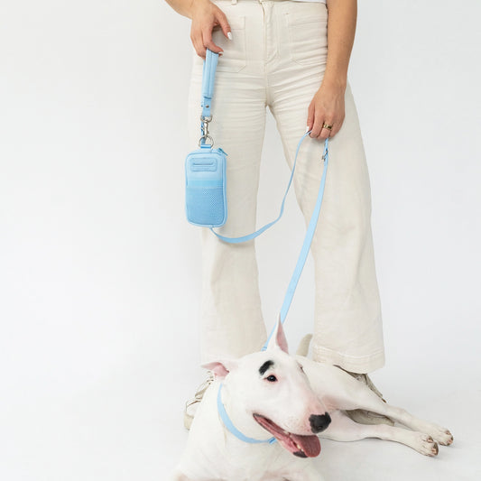 Walk Bag + Leash