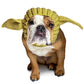 An English bulldog wearing a baby yoda snood. Star Wars dog costume ideas.