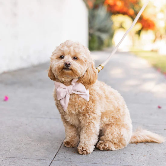 Blush Pink Velvet Lady Bow