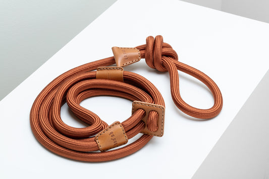 All-in-one minimalism designer dog harness by Boo Oh in camel