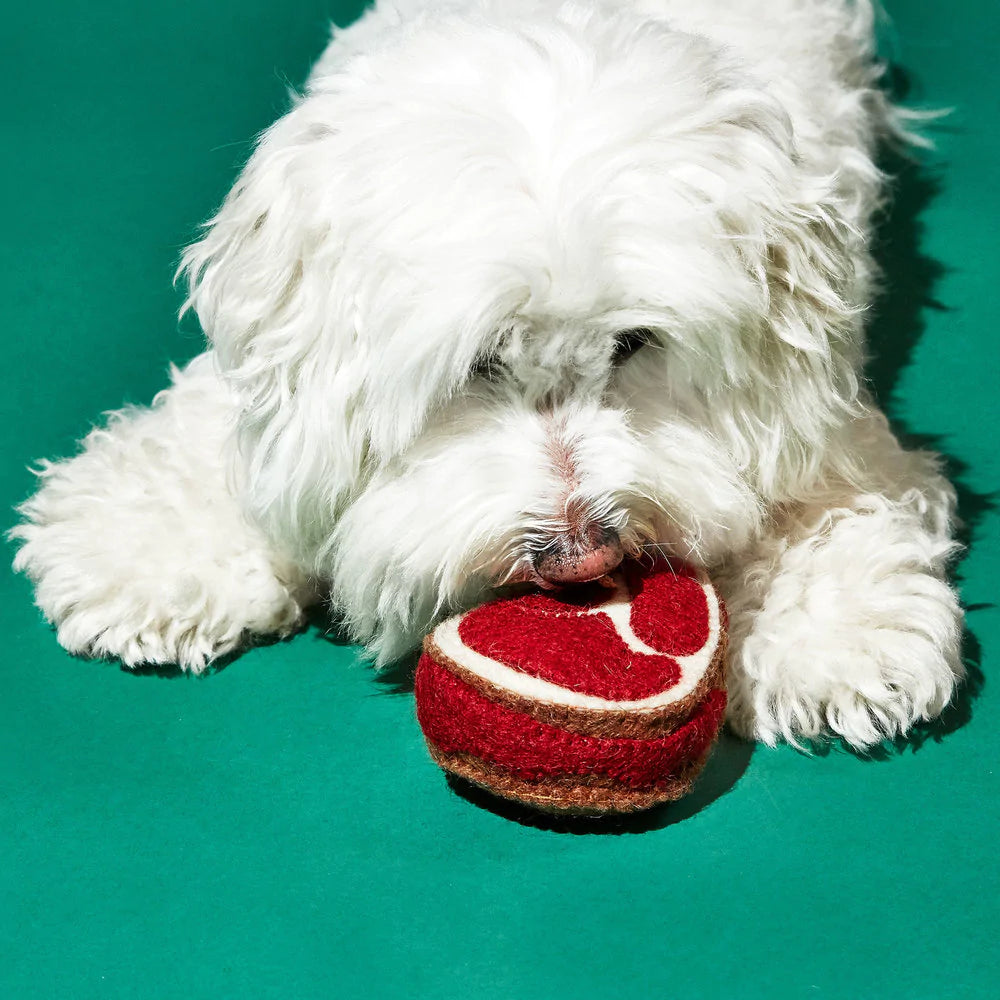 Boiled Wool Steak Dog Toy